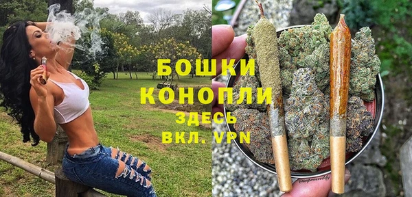 гидропоника Богданович