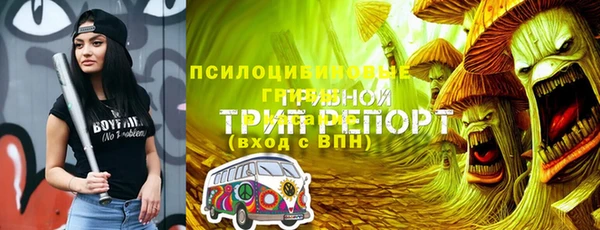 гидропоника Богданович