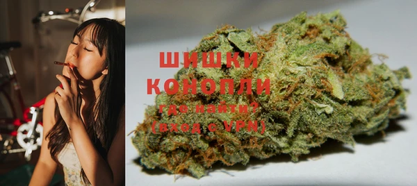 гидропоника Богданович