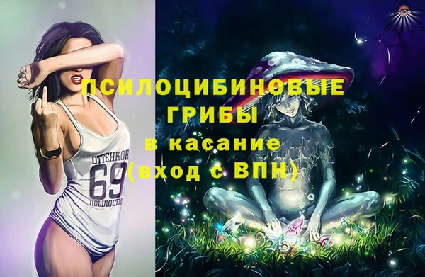 гидропоника Богданович
