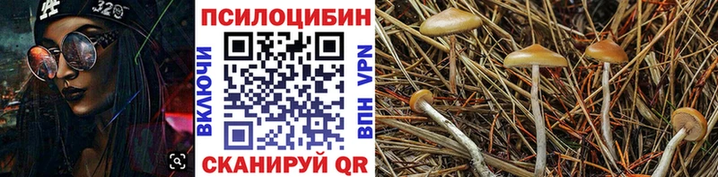 OMG ТОР Белозерск Галлюциногенные грибы GOLDEN TEACHER
